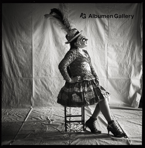 Albumen Gallery, Online